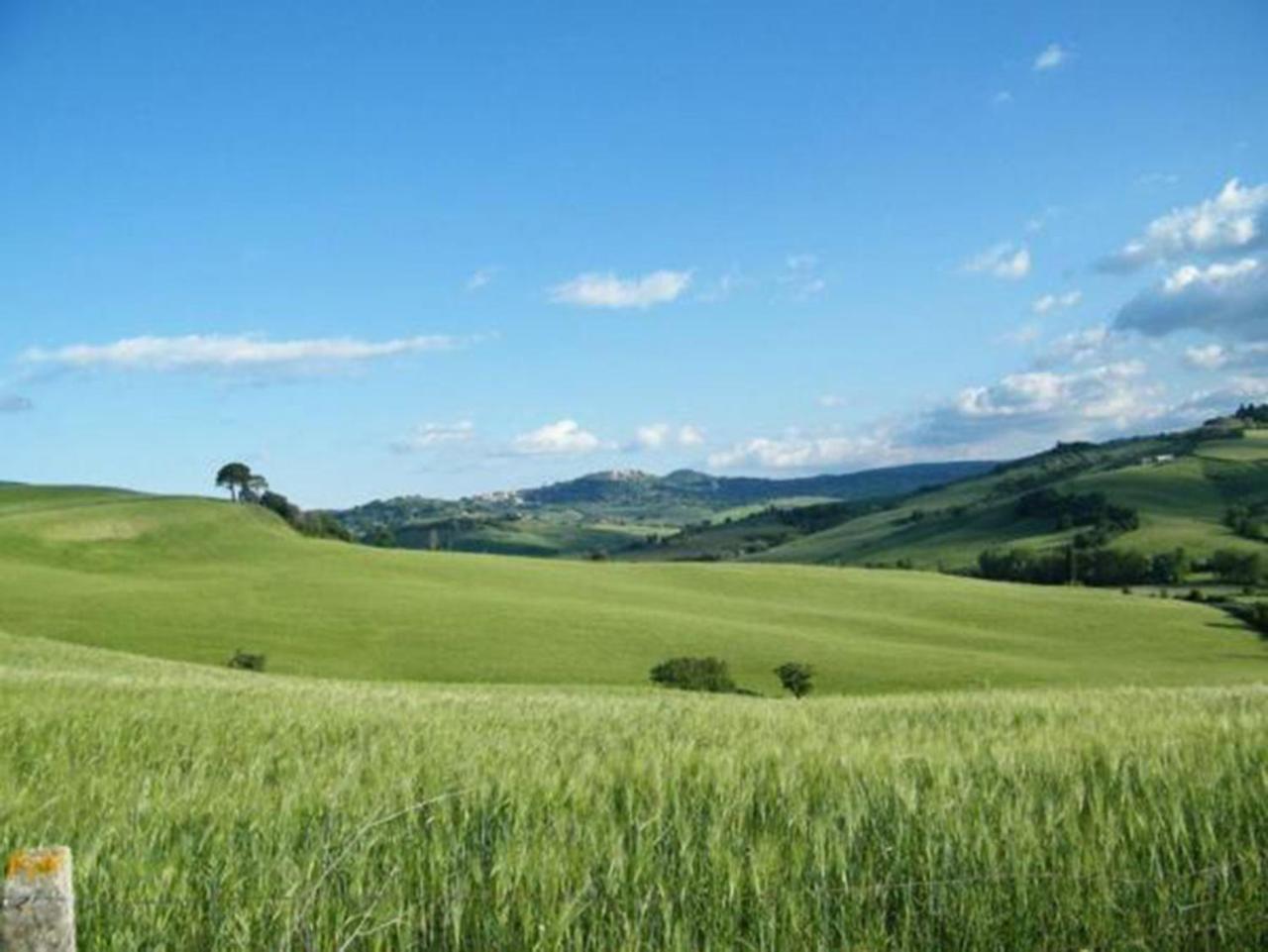 B&B Il Glicine Montefollonico Exterior photo